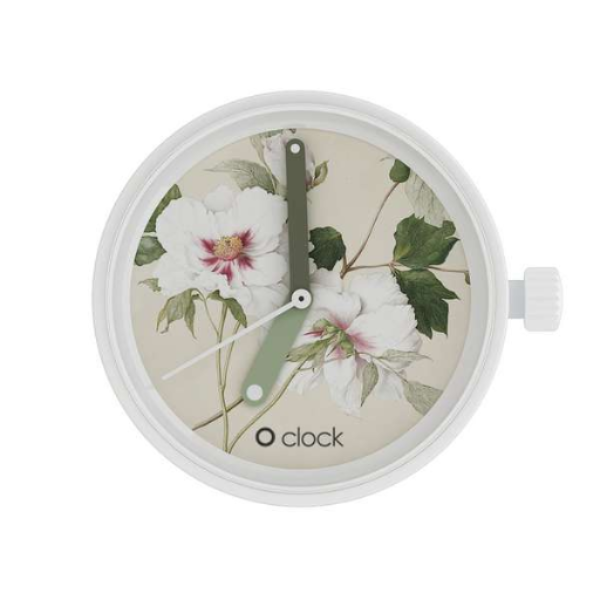 O clock .cadran botanique